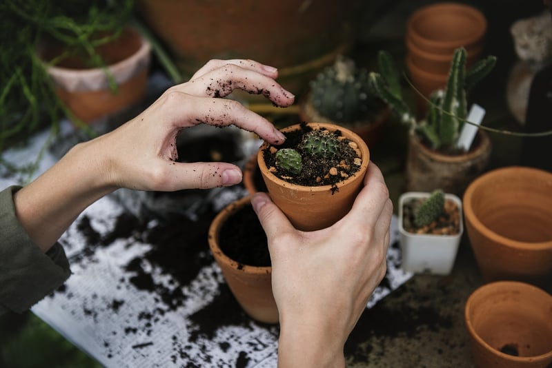 Sustainability